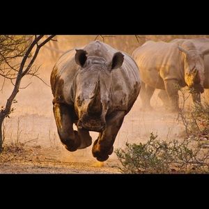 Meet your Posher, Ryan